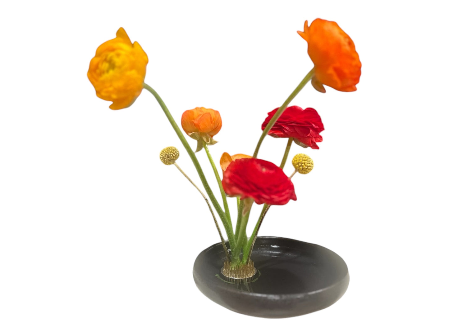 Minimal Bloom